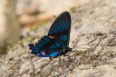 Filename=151105_mera_041.jpg
Filesize=454KiB
Dimensions=1920x1280
Date added=Jul 23, 2018 151105_mera_041.jpg