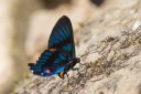 Filename=151105_mera_042.jpg
Filesize=403KiB
Dimensions=1920x1280
Date added=Jul 23, 2018 151105_mera_042.jpg