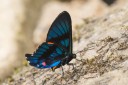 Filename=151105_mera_043.jpg
Filesize=437KiB
Dimensions=1920x1280
Date added=Jul 23, 2018 151105_mera_043.jpg