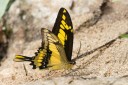 151105_mera_074.jpg