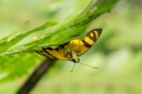Filename=151106_el_capricho_040.jpg
Filesize=626KiB
Dimensions=1920x1280
Date added=Jul 21, 2018 151106_el_capricho_040.jpg