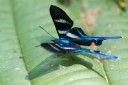 Filename=151106_el_capricho_090.jpg
Filesize=406KiB
Dimensions=1920x1282
Date added=Jul 21, 2018 151106_el_capricho_090.jpg