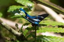 Filename=151106_el_capricho_094.jpg
Filesize=404KiB
Dimensions=1920x1282
Date added=Jul 21, 2018 151106_el_capricho_094.jpg