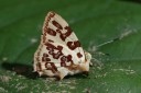 Filename=151106_el_capricho_111.jpg
Filesize=467KiB
Dimensions=1920x1282
Date added=Jul 20, 2018 151106_el_capricho_111.jpg