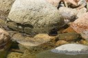 Filename=151108_loretord_015.jpg
Filesize=686KiB
Dimensions=1920x1280
Date added=Jul 22, 2018 151108_loretord_015.jpg