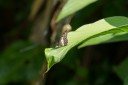 Filename=151108_loretord_018.jpg
Filesize=275KiB
Dimensions=1920x1280
Date added=Jul 21, 2018 151108_loretord_018.jpg