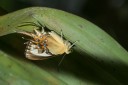 Filename=151109_laguna_de_taracoa_069.jpg
Filesize=354KiB
Dimensions=1920x1282
Date added=Jul 20, 2018 151109_laguna_de_taracoa_069.jpg