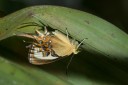 Filename=151109_laguna_de_taracoa_070.jpg
Filesize=426KiB
Dimensions=1920x1282
Date added=Jul 20, 2018 151109_laguna_de_taracoa_070.jpg