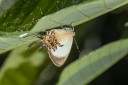 Filename=151109_laguna_de_taracoa_072.jpg
Filesize=362KiB
Dimensions=1920x1282
Date added=Jul 20, 2018 151109_laguna_de_taracoa_072.jpg