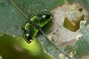 Filename=151110_chontapunta_074.jpg
Filesize=682KiB
Dimensions=1920x1280
Date added=Jul 31, 2018 151110_chontapunta_074.jpg
