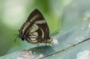 Filename=151110_chontapunta_076.jpg
Filesize=408KiB
Dimensions=1920x1282
Date added=Jul 31, 2018 151110_chontapunta_076.jpg