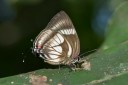 Filename=151110_chontapunta_077.jpg
Filesize=438KiB
Dimensions=1920x1282
Date added=Jul 31, 2018 151110_chontapunta_077.jpg