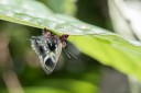 Filename=151110_chontapunta_078.jpg
Filesize=414KiB
Dimensions=1920x1282
Date added=Jul 20, 2018 151110_chontapunta_078.jpg