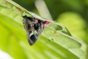 Filename=151110_chontapunta_079.jpg
Filesize=378KiB
Dimensions=1920x1282
Date added=Jul 20, 2018 151110_chontapunta_079.jpg