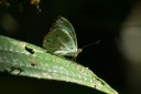 151110_chontapunta_097.jpg