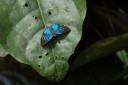 Filename=151111_costa_azul_080.jpg
Filesize=443KiB
Dimensions=1920x1280
Date added=Jul 30, 2018 151111_costa_azul_080.jpg