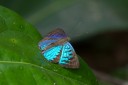 Filename=151111_costa_azul_083.jpg
Filesize=417KiB
Dimensions=1920x1280
Date added=Jul 30, 2018 151111_costa_azul_083.jpg