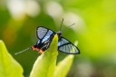 Filename=151111_costa_azul_085.jpg
Filesize=298KiB
Dimensions=1920x1280
Date added=Jul 30, 2018 151111_costa_azul_085.jpg