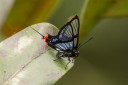 Filename=151111_costa_azul_090.jpg
Filesize=479KiB
Dimensions=1920x1280
Date added=Jul 30, 2018 151111_costa_azul_090.jpg