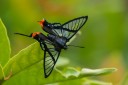 Filename=151111_costa_azul_091.jpg
Filesize=457KiB
Dimensions=1920x1280
Date added=Jul 30, 2018 151111_costa_azul_091.jpg