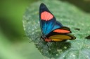 Filename=151112_apuya_078.jpg
Filesize=783KiB
Dimensions=1920x1280
Date added=Jul 21, 2018 151112_apuya_078.jpg