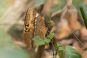 160327_khaosaidao_008.jpg