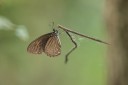 Filename=160327_khaosaidao_043.jpg
Filesize=665KiB
Dimensions=1920x1282
Date added=Sep 07, 2016 160327_khaosaidao_043.jpg