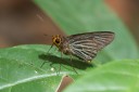 160328_khaosaidao_039.jpg