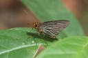 160328_khaosaidao_040.jpg