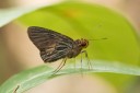 160328_khaosaidao_042.jpg