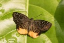 160331_khaoyai_003.jpg