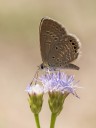 Filename=161030_tc_03.jpg
Filesize=511KiB
Dimensions=1440x1920
Date added=Nov 20, 2016 161030_tc_03.jpg