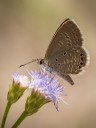 Filename=161030_tc_04.jpg
Filesize=543KiB
Dimensions=1440x1920
Date added=Nov 20, 2016 161030_tc_04.jpg