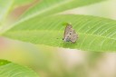 Filename=161211_betong_09.jpg
Filesize=389KiB
Dimensions=1920x1282
Date added=Jan 01, 2017 161211_betong_09.jpg