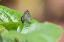 Filename=161211_betong_12.jpg
Filesize=375KiB
Dimensions=1920x1282
Date added=Jan 01, 2017 161211_betong_12.jpg