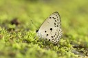 Filename=161211_betong_14.jpg
Filesize=665KiB
Dimensions=1920x1282
Date added=Jan 01, 2017 161211_betong_14.jpg