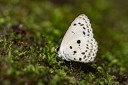 Filename=161211_betong_15.jpg
Filesize=572KiB
Dimensions=1920x1282
Date added=Jan 01, 2017 161211_betong_15.jpg