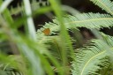 161212_peacevillage_16.jpg