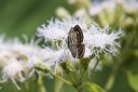 Filename=161213_betonghill_08.jpg
Filesize=316KiB
Dimensions=1920x1280
Date added=Dec 25, 2016 161213_betonghill_08.jpg