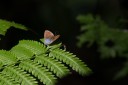 Filename=161216_peacevillage_73.jpg
Filesize=377KiB
Dimensions=1920x1281
Date added=Dec 24, 2016 161216_peacevillage_73.jpg