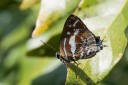 161217_betongtemple_56.jpg