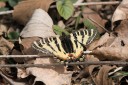 170311_nanjing_28.jpg