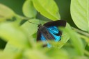 Filename=170402_gopeng_10.jpg
Filesize=302KiB
Dimensions=1920x1280
Date added=Apr 22, 2017 170402_gopeng_10.jpg