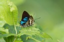 Filename=170402_gopeng_11.jpg
Filesize=319KiB
Dimensions=1920x1280
Date added=Apr 22, 2017 170402_gopeng_11.jpg