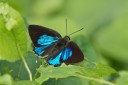Filename=170402_gopeng_12.jpg
Filesize=319KiB
Dimensions=1920x1280
Date added=Apr 22, 2017 170402_gopeng_12.jpg