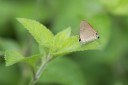 Filename=170402_gopeng_85.jpg
Filesize=303KiB
Dimensions=1920x1280
Date added=Apr 22, 2017 170402_gopeng_85.jpg