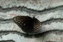 180527_klbfpark_07.jpg