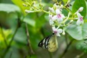 Filename=180527_klbfpark_24.jpg
Filesize=409KiB
Dimensions=1920x1280
Date added=May 29, 2018 180527_klbfpark_24.jpg