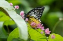 Filename=180527_klbfpark_49.jpg
Filesize=371KiB
Dimensions=1920x1280
Date added=May 28, 2018 180527_klbfpark_49.jpg