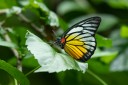 Filename=180527_klbfpark_53.jpg
Filesize=447KiB
Dimensions=1920x1280
Date added=May 28, 2018 180527_klbfpark_53.jpg